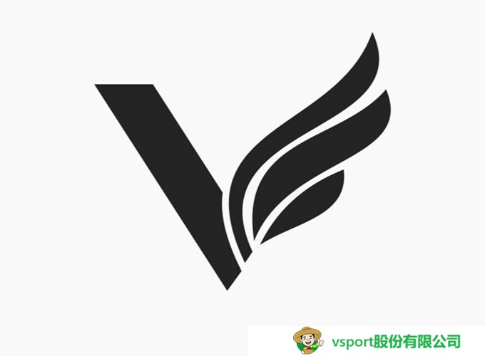 VSport股份有限公司企业简介