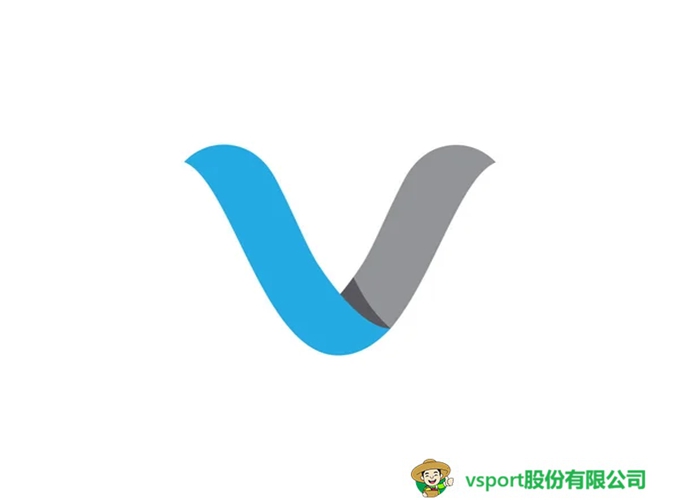 VSport股份有限公司发展起源